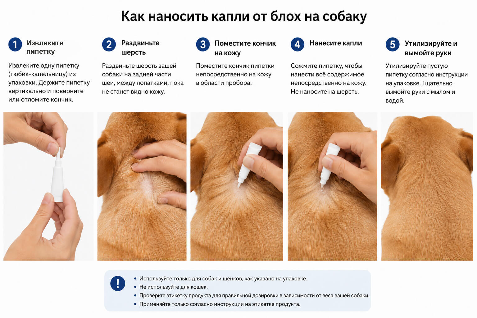 Инструкция: как правильно наносить капли от блох на холку собаке