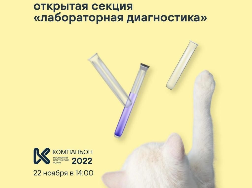 В этом году мы стали организаторами секции «Лабораторная диагностика Vet Union» на конференции МПФ «Компаньон»