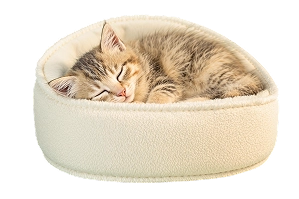 Анализы для вашего питомца, <br> не выходя из дома!