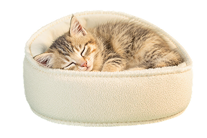 Анализы для вашего питомца, <br> не выходя из дома!