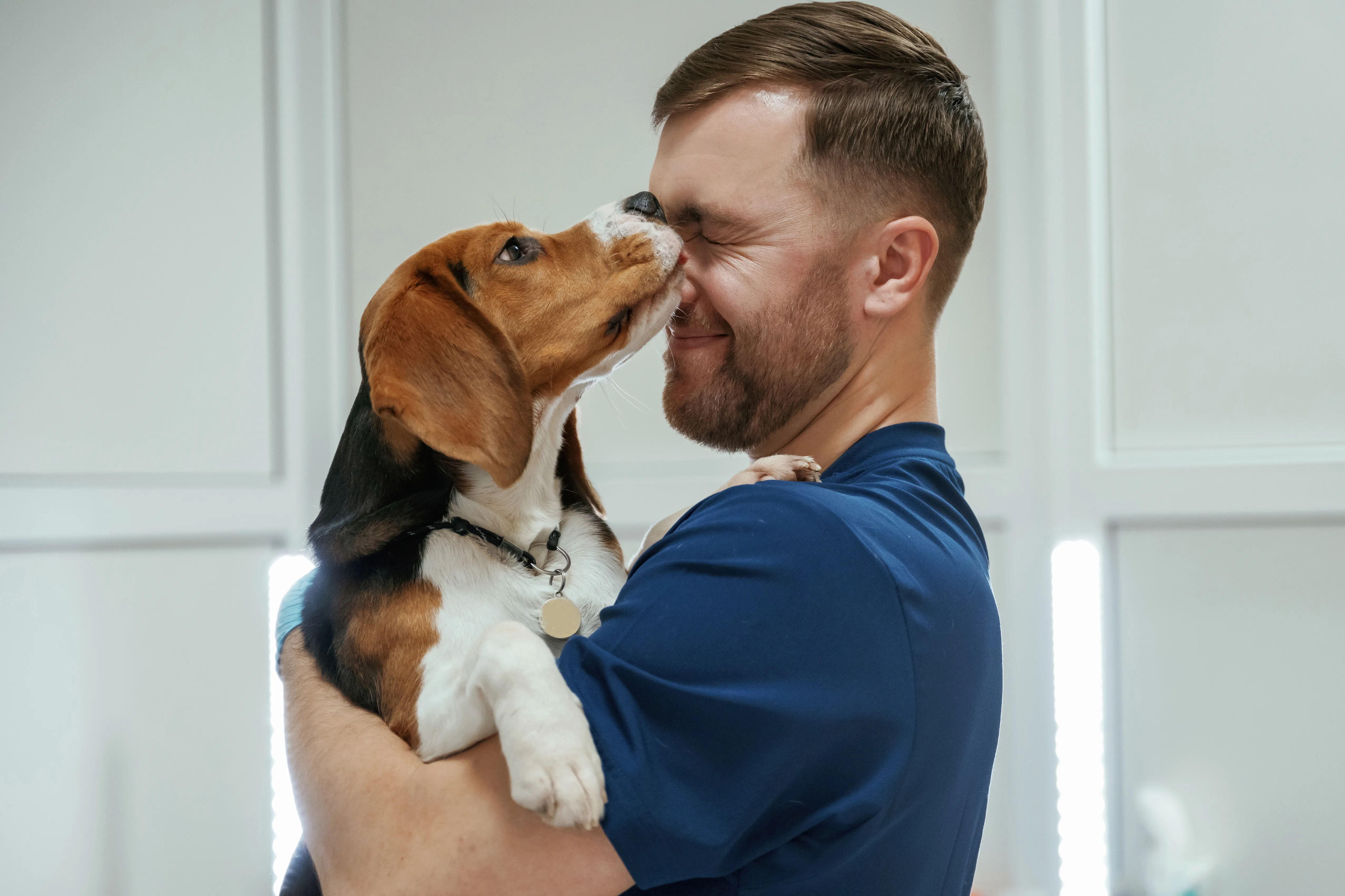 Команда Vet Union поздравляет с Днём ветеринарного работника России 2024!