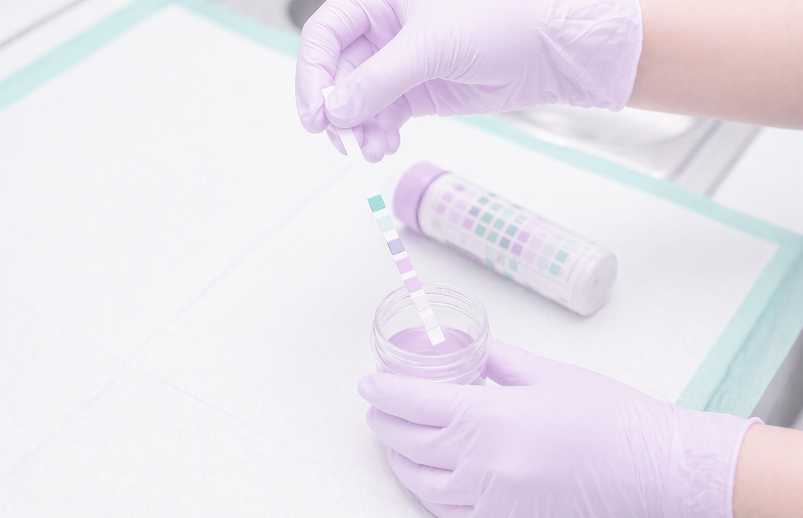 Диагностическая ценность анализа мочи: что ветеринары могут упускать из виду