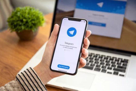 Telegram-канал  Vet Union