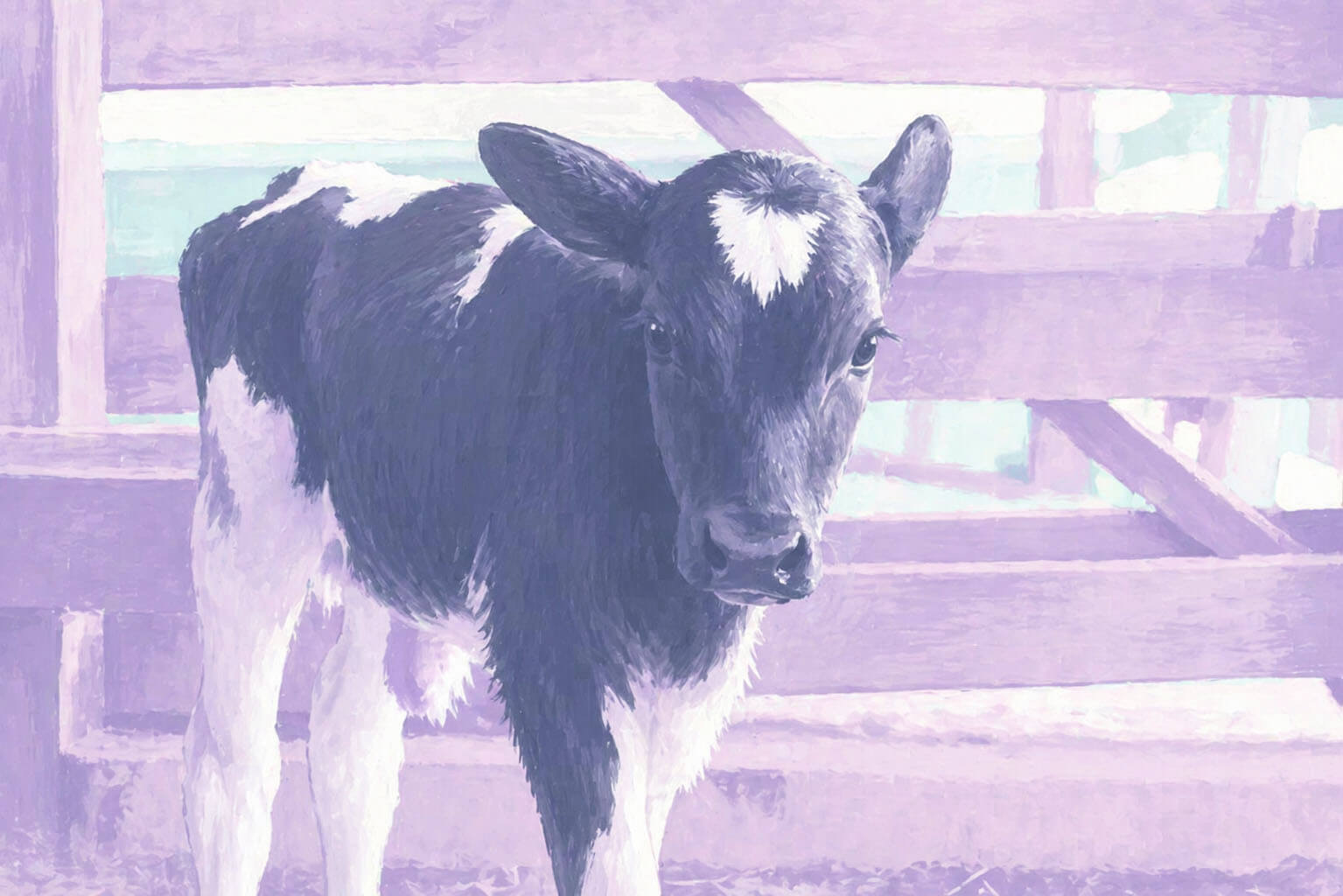 5 шагов к здоровью телят: как предотвратить «респираторку» и сохранить поголовье