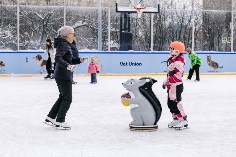 Каток в Воронцовском парке «озверел»