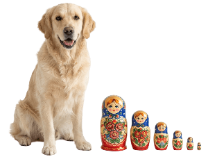Собака с русской кличкой
