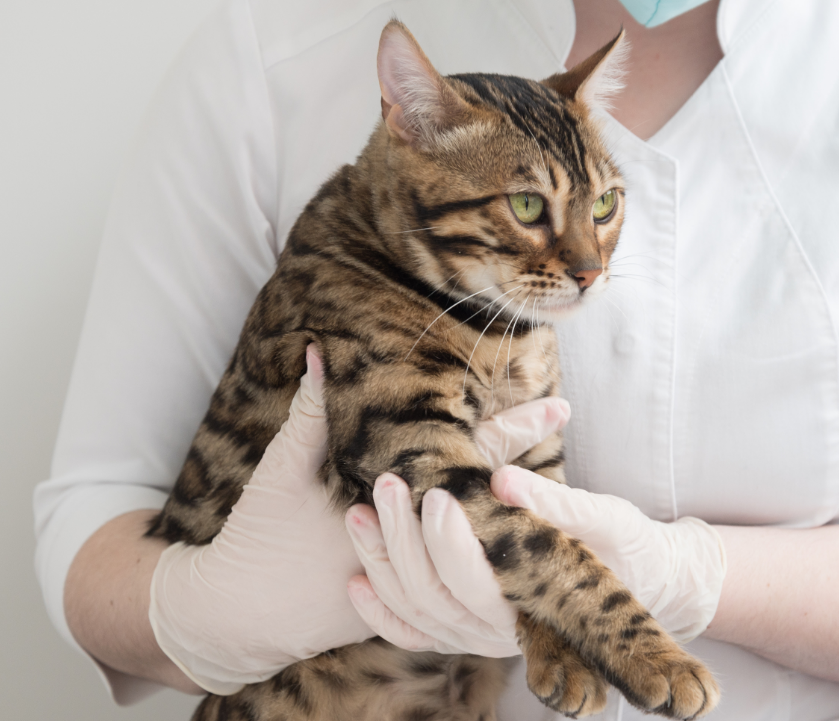 Серия лекций с Александрой Фотченковой