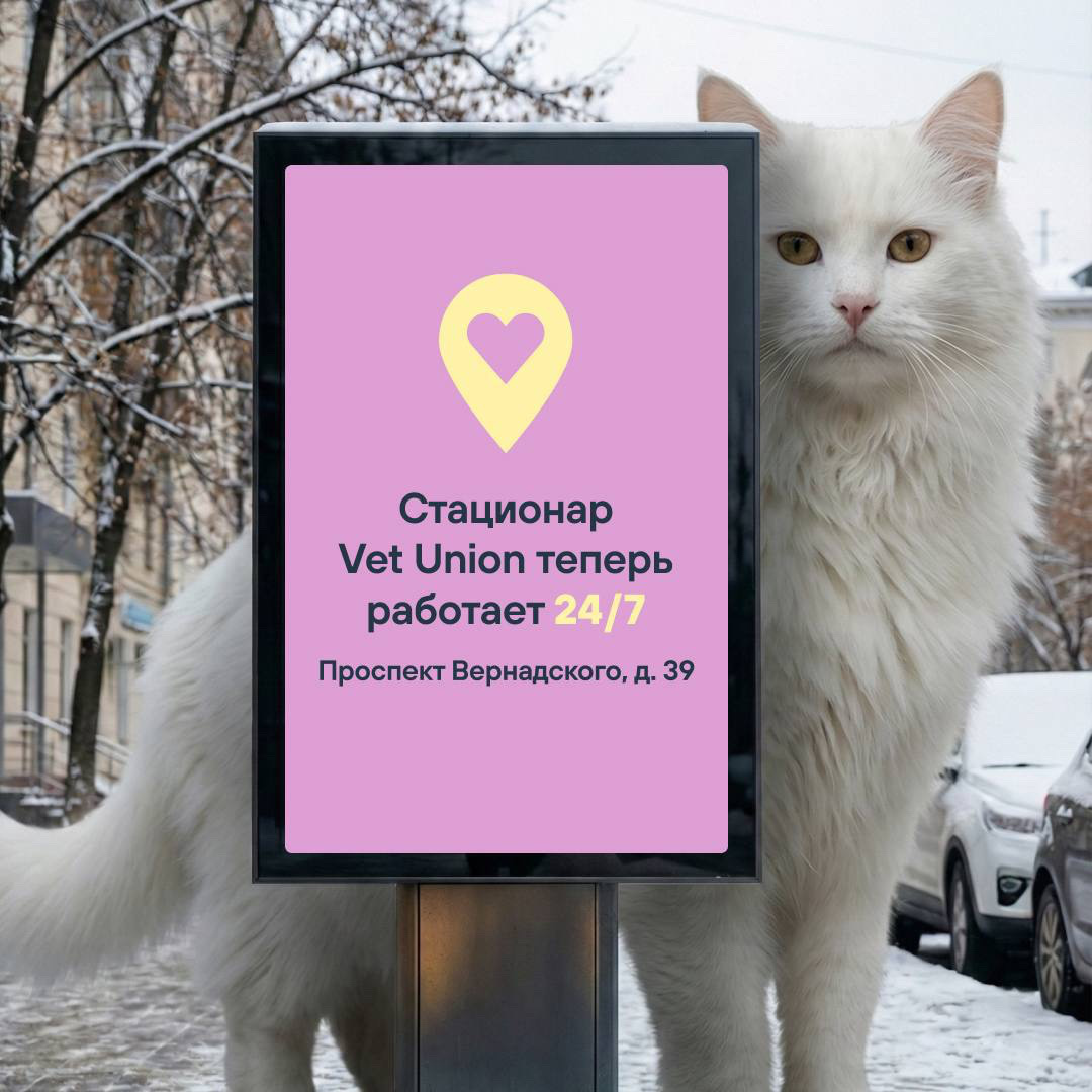 Стационар в Vet Union – забота о вашем питомце 24/7