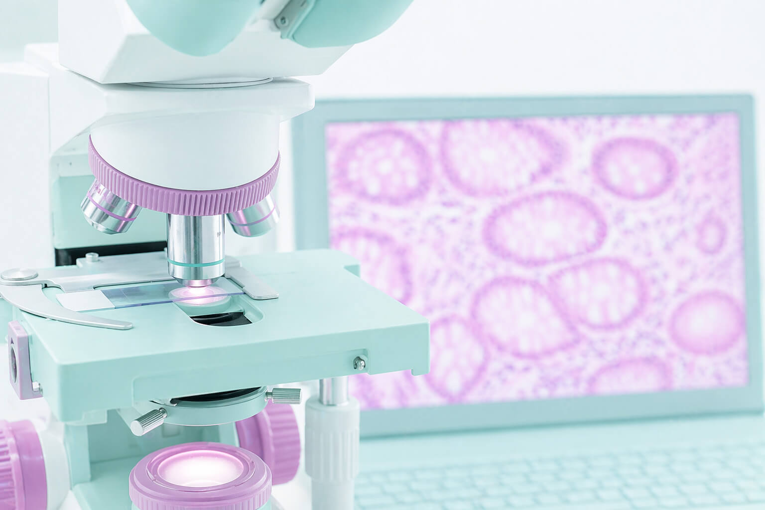 Диагностика хронических заболеваний у кошек и собак: роль лаборатории