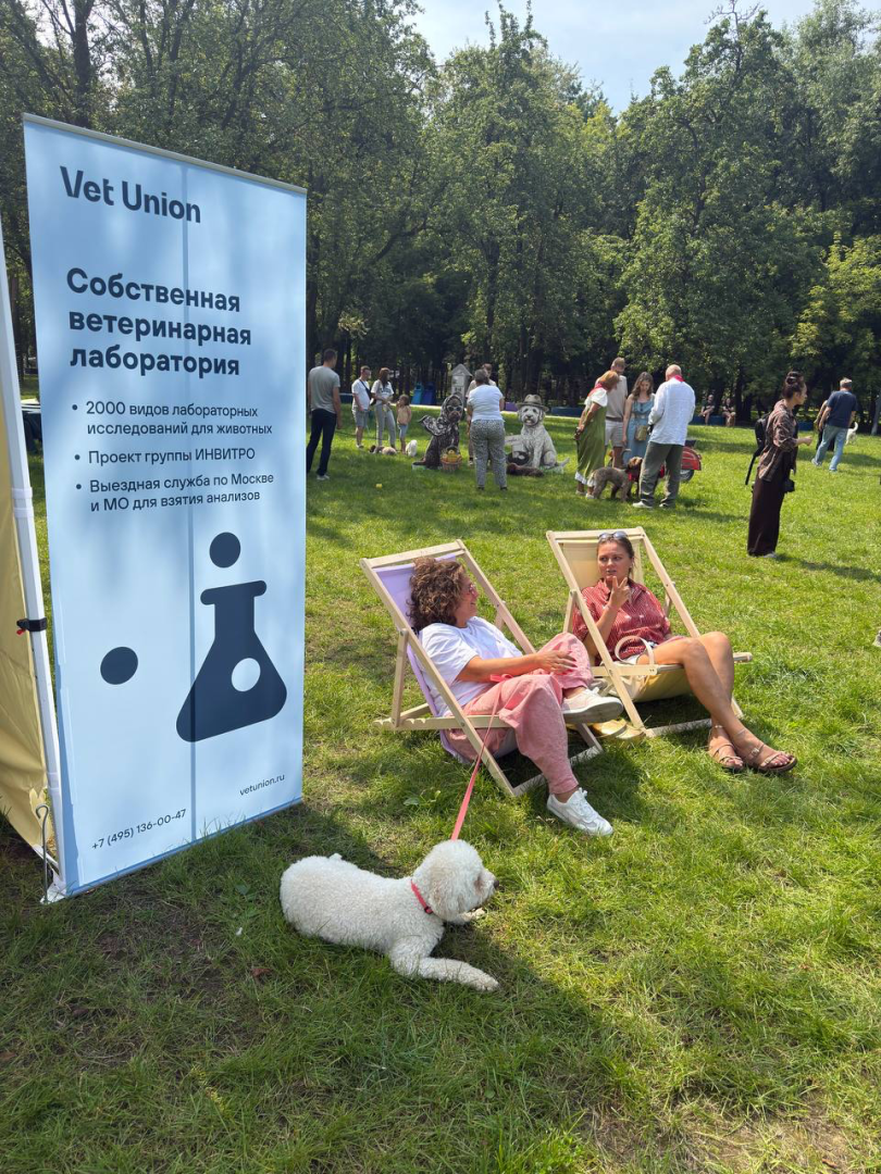 Летняя встреча лаготто-романьоло вместе с Vet Union