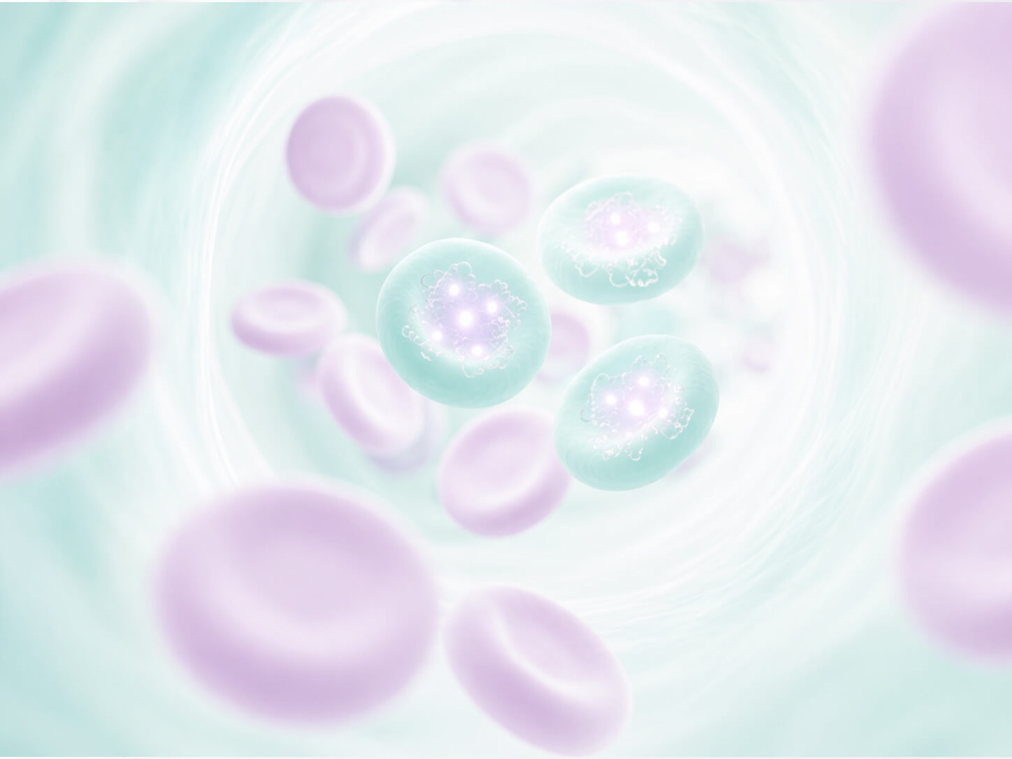 Анемия кошек и собак – диагностический подход