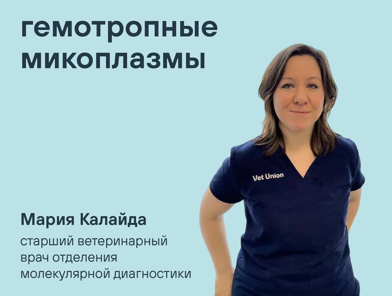 Вебинар с Марией Калайда