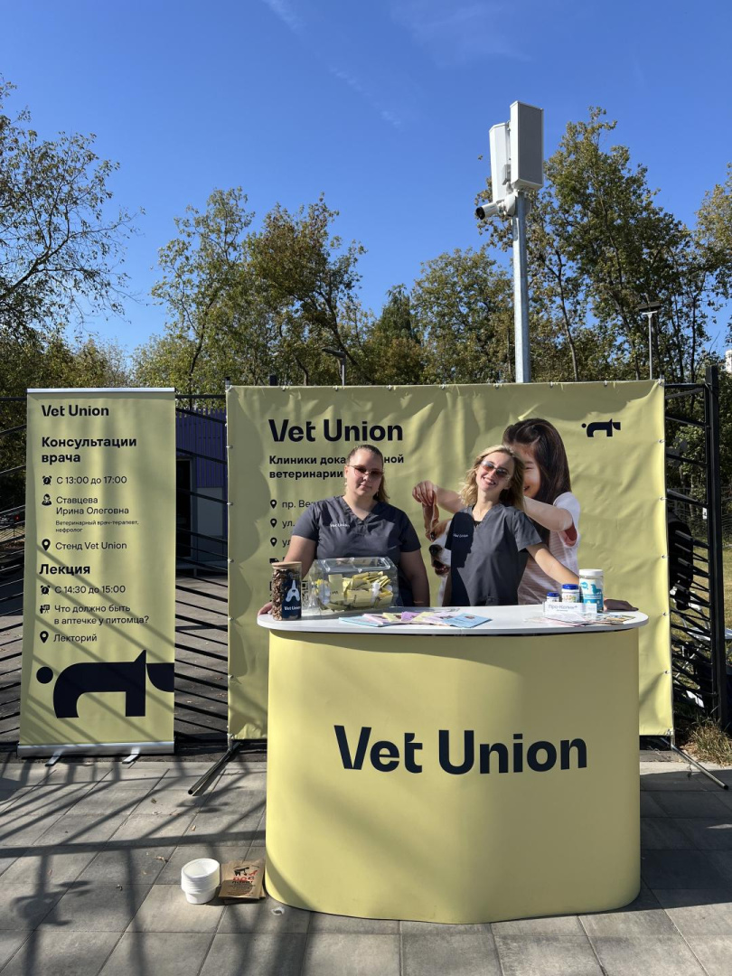 Отметили день бигля!