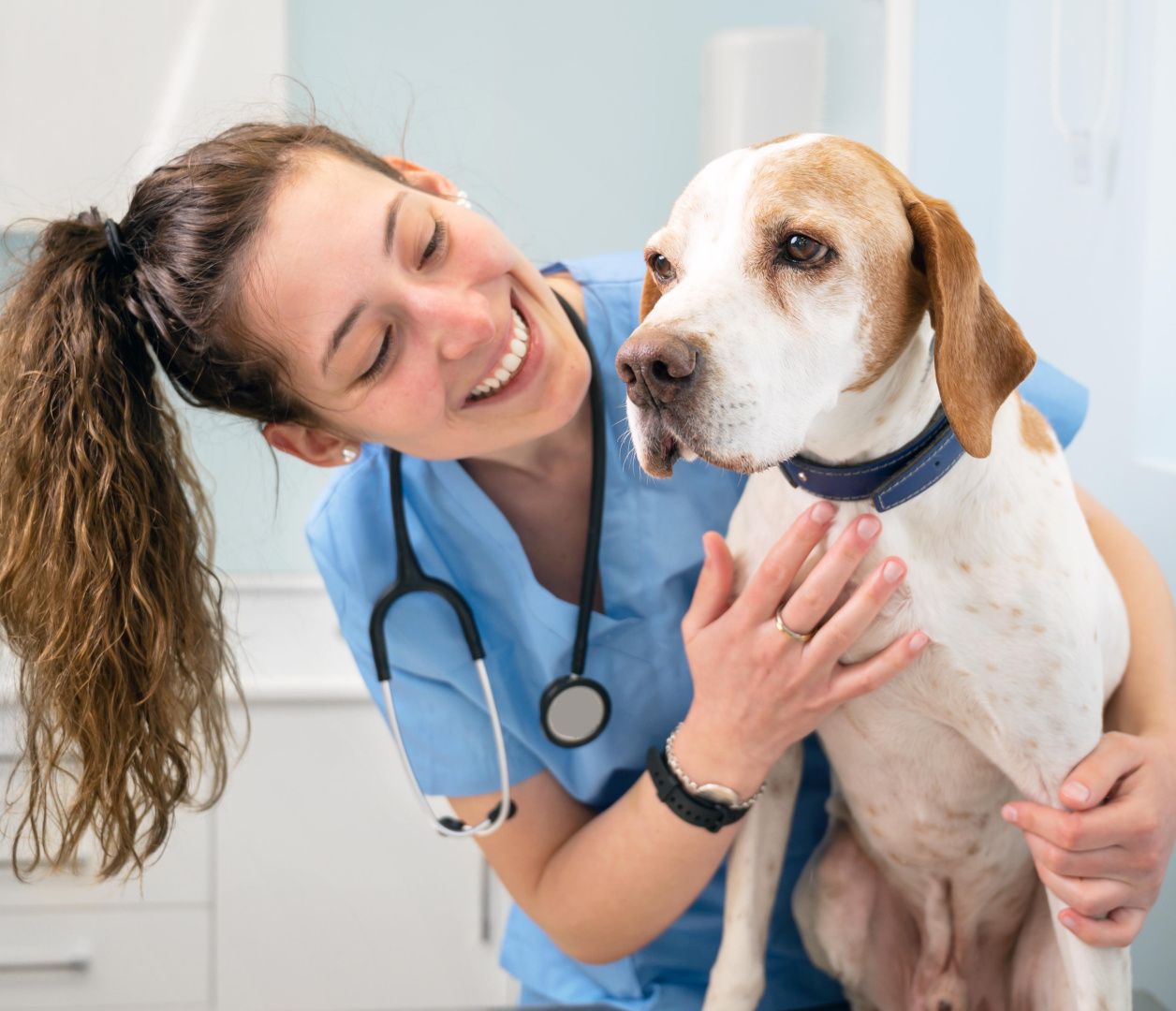 Здоровье мочевыделительной системы