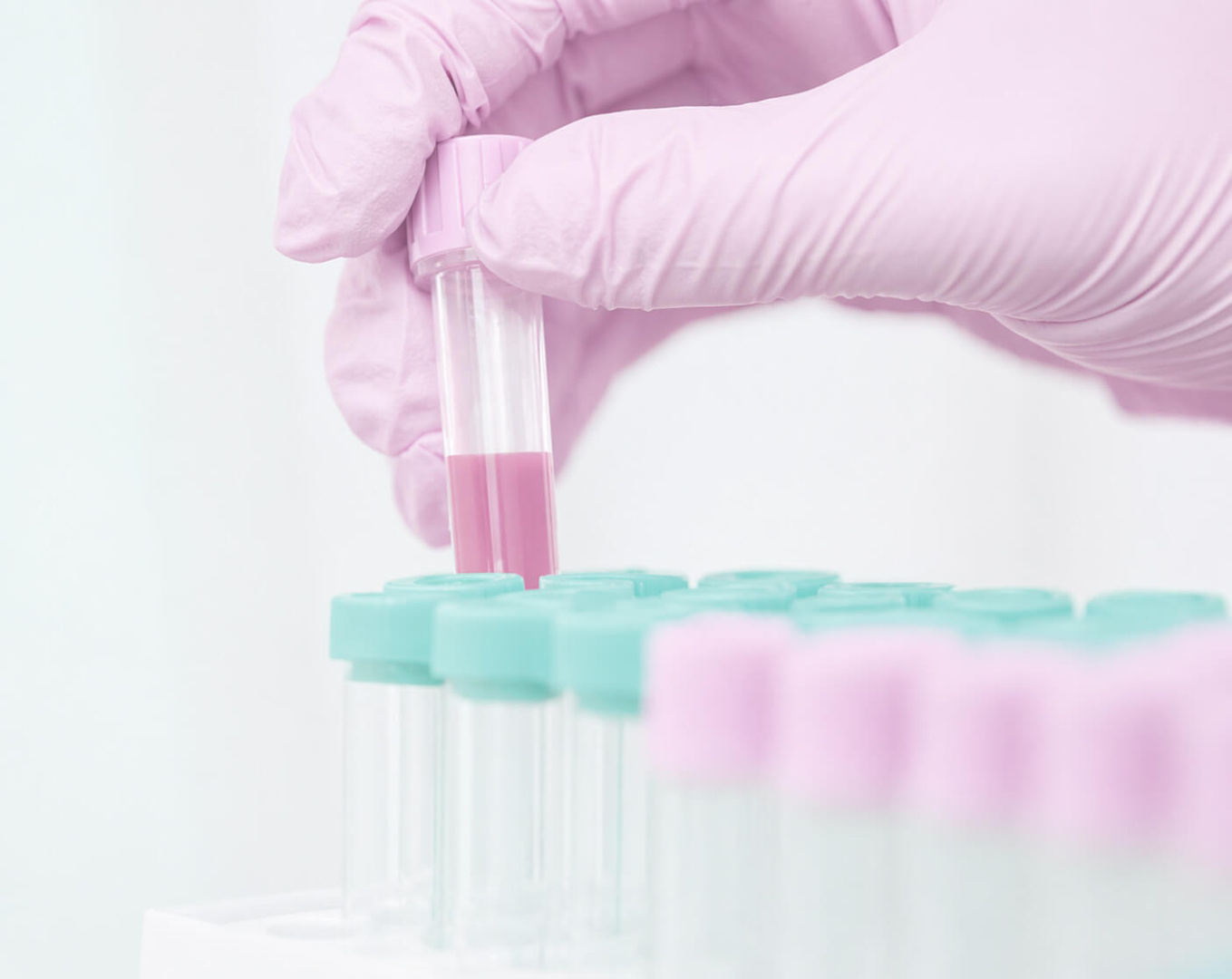 Биохимический анализ крови у животных: расшифровка и нормы