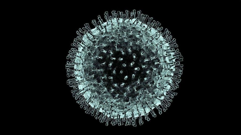 Как выглядит коронавирус (Coronaviridae) под микроскопом: фото (3D-модель)