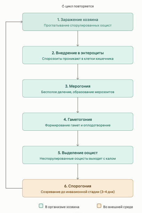 photo_2026-08-13_10-21-32.jpg photo_2026-08-13_10-21-32.jpg