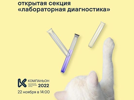 В этом году мы стали организаторами секции «Лабораторная диагностика Vet Union» на конференции МПФ «Компаньон»