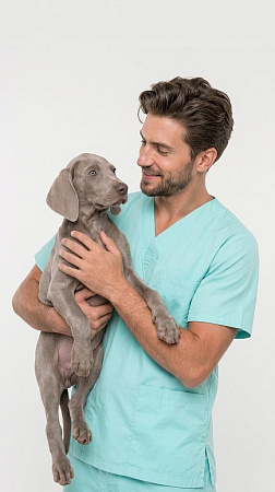 ветеринар держит собаку