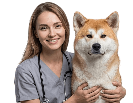 Ветеринарный врач - анестезиолог