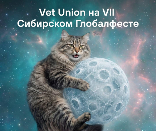 Vet Union на VII Сибирском Глобалфесте 2026