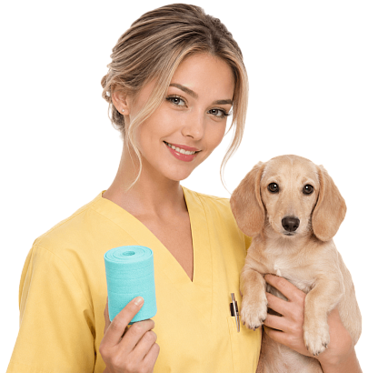 ветеринар держит собаку