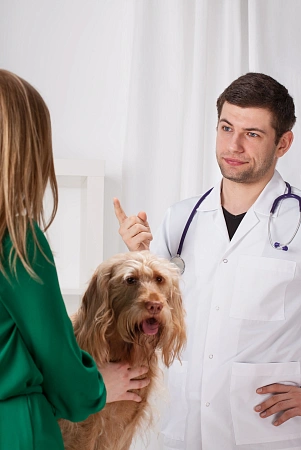 <p>
	Построения плана диагностики и лечения.&nbsp;Поддержка в течение 1 месяца - ответы на вопросы по почте 2 р/нед в рабочие смены врача, после окончания приема, затем, при необходимости, продление поддержки на месяц через коллцентр.
</p>