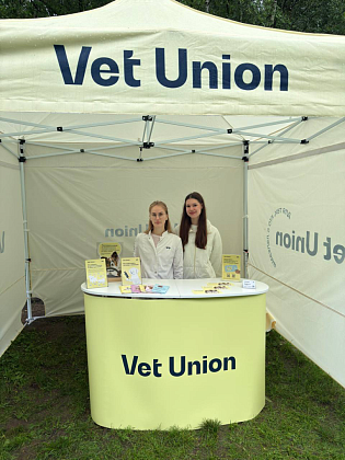 Vet Union на встрече папильонов
