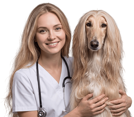 Седация и анестезия