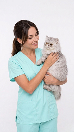 ветеринар держит кошку
