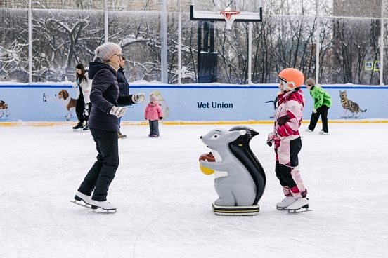 Каток в Воронцовском парке «озверел»