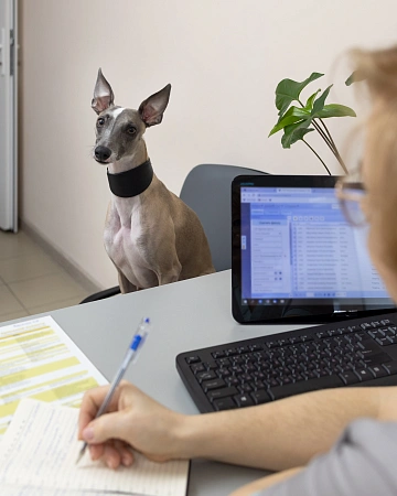 <p>
	 Далее доктор внесет данные о питомце, владельце, типе вакцины в специальный журнал и в ветеринарный паспорт, а животным, вакцинирующимся от бешенства, будет присвоен индивидуальный регистрационный номер, который также отобразится в документах.
</p>