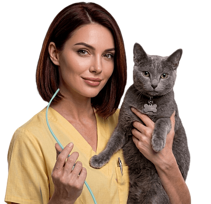 ветеринар держит на руках кота