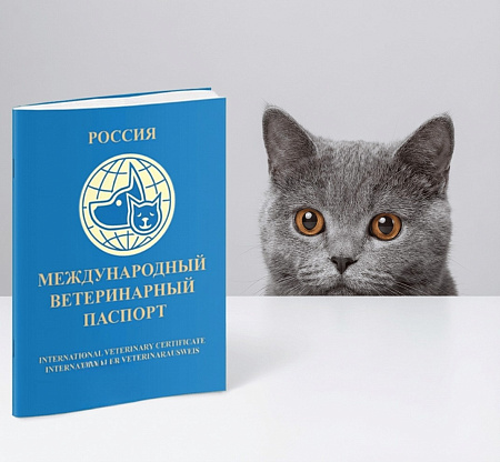<p>
При необходимости врач планирует повторный визит для внесения дополнительных отметок о вакцинациях и обработках согласно графику. Это особенно важно для поддержания паспорта в актуальном состоянии, так как просроченные вакцинации могут стать препятствием для путешествий. Своевременное внесение всех отметок помогает отслеживать ветеринарную историю животного и вовремя проводить необходимые профилактические мероприятия.
</p>