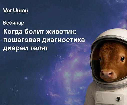 Вебинар «Когда болит животик: пошаговая диагностика диареи телят»