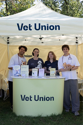 300 сиба-ину и один большой летний праздник вместе с Vet Union