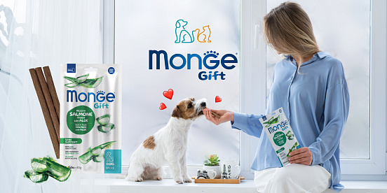 Приходите на прием и получите лакомство в подарок