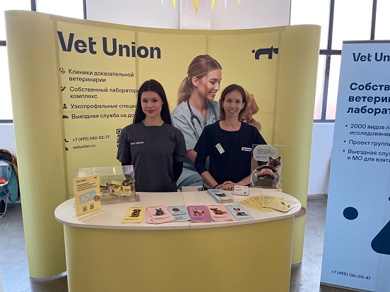 Vet Union принял участие в выставке-пристройстве фонда «Дом»