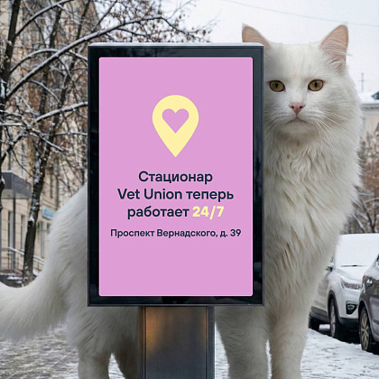 Стационар в Vet Union – забота о вашем питомце 24/7