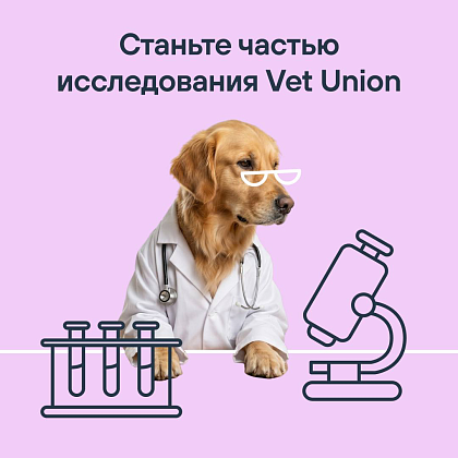 Ищем хвостатых добровольцев для научной работы Vet Union!