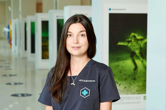 Ко Всемирному дню китов и дельфинов – смотрите наши лекции на Youtube