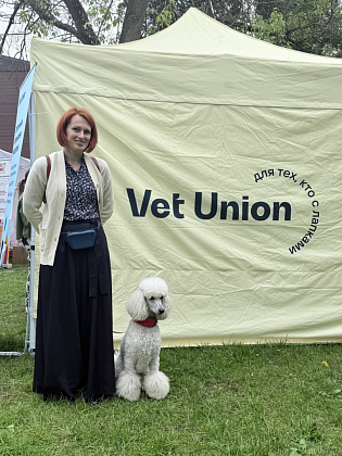Летняя встреча пуделей вместе с Vet Union