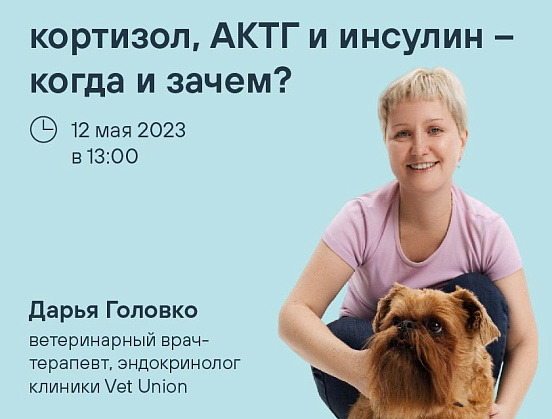 Вебинар с Дарьей Головко