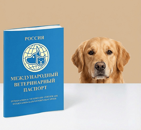 <p>
После оформления паспорта врач объясняет владельцу правила ведения документа и разъясняет необходимые сроки вакцинаций — прививки от бешенства, комплексные вакцины, обработки от паразитов и другие профилактические мероприятия для поддержания паспорта в актуальном состоянии.
</p>