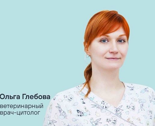 Вебинар с Ольгой Глебовой