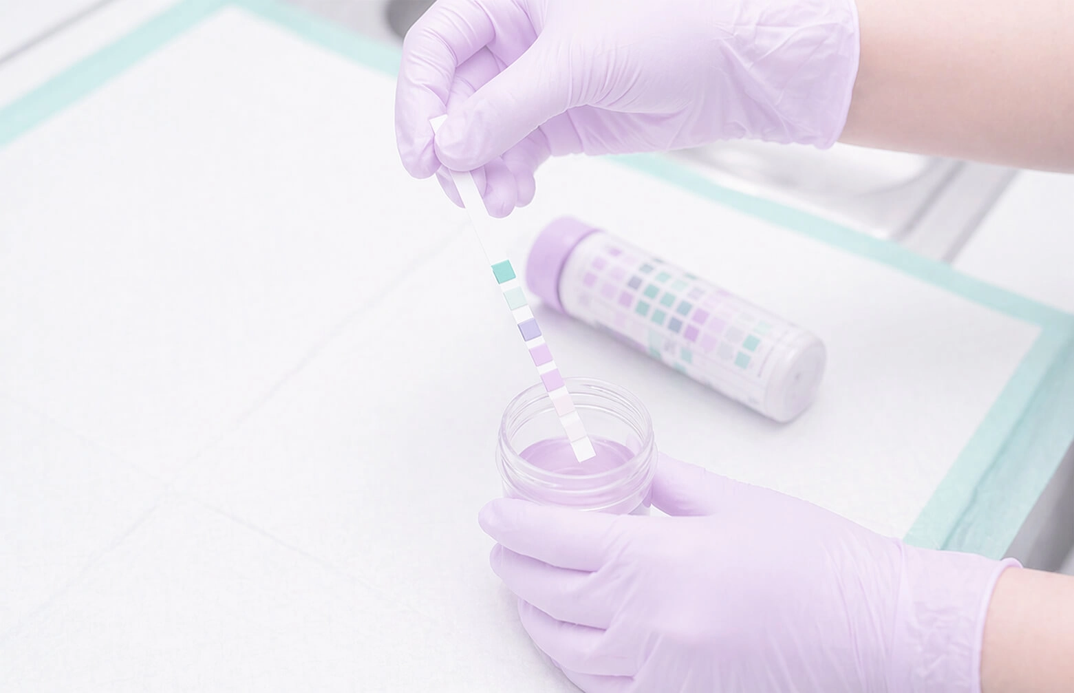 Диагностическая ценность анализа мочи: что ветеринары могут упускать из виду