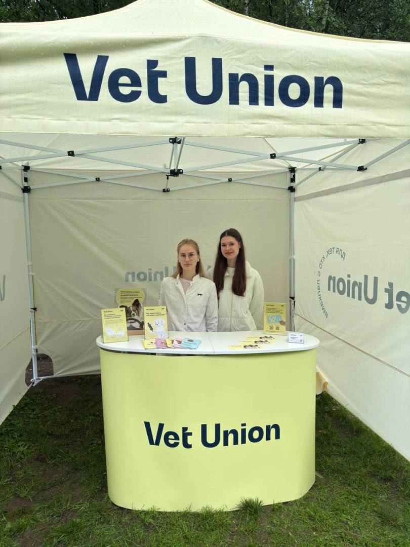 Vet Union на встрече папильонов