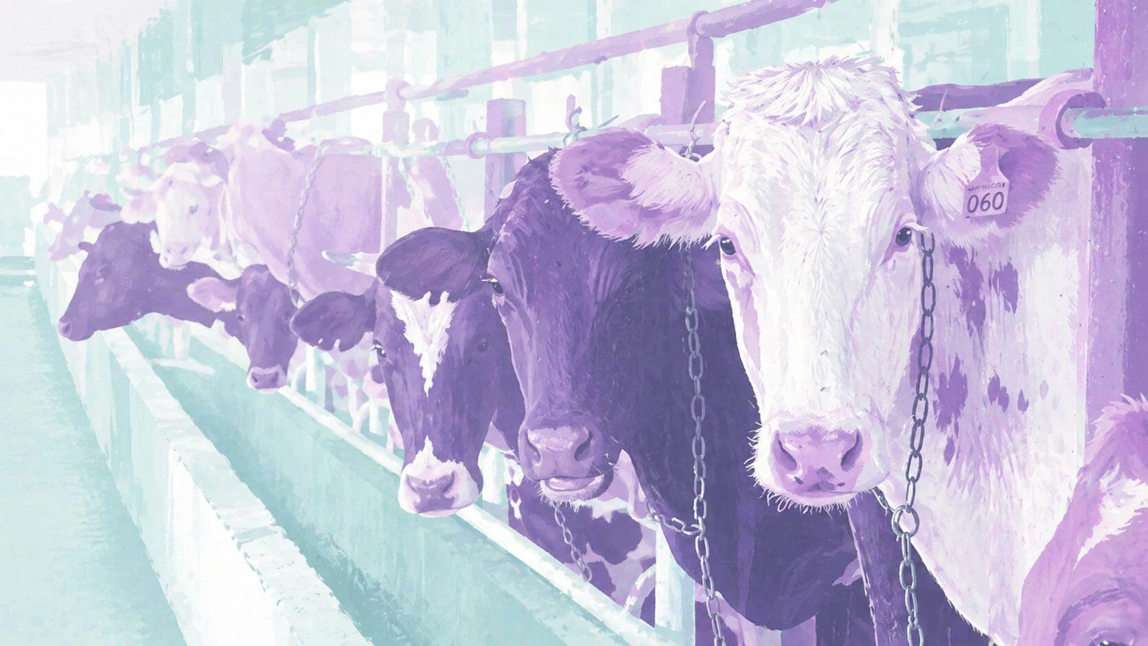 Лейкоз КРС: современные методы диагностики ИФА и ПЦР