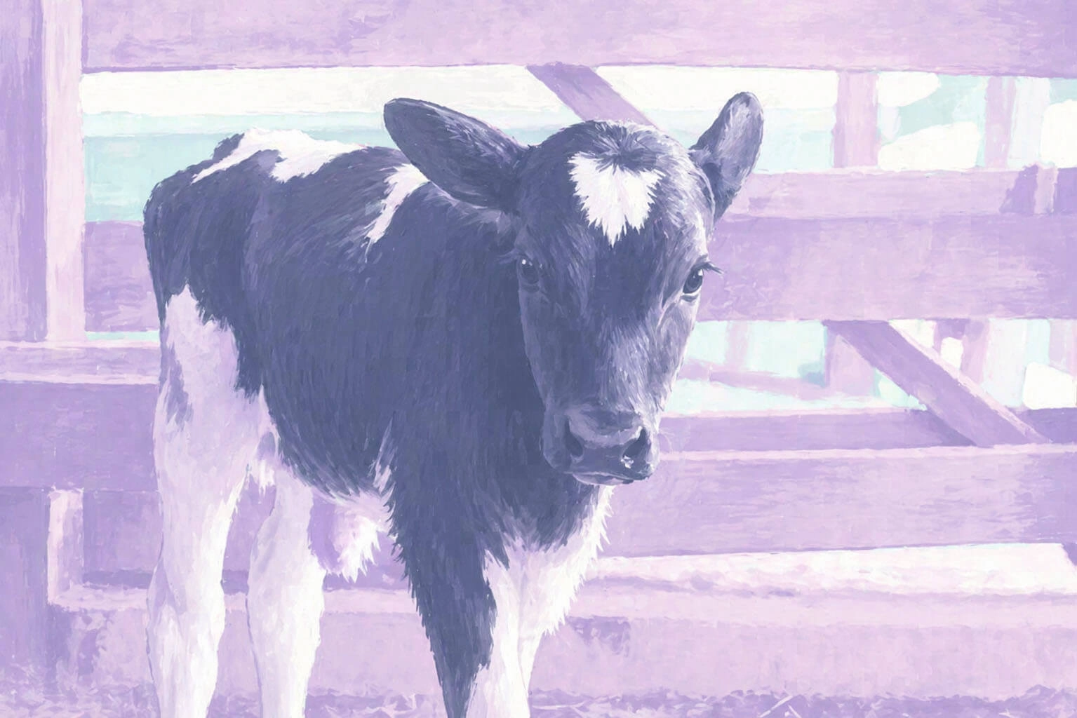 5 шагов к здоровью телят: как предотвратить «респираторку» и сохранить поголовье