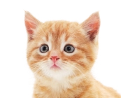 Для тех, кто нам доверяет 